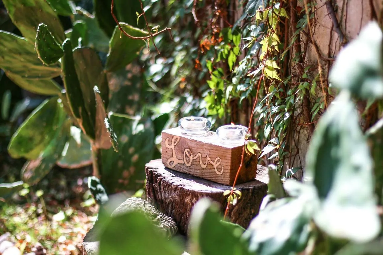 Prázdninový dům Vila Cactus House Playa del Carmen Mexiko