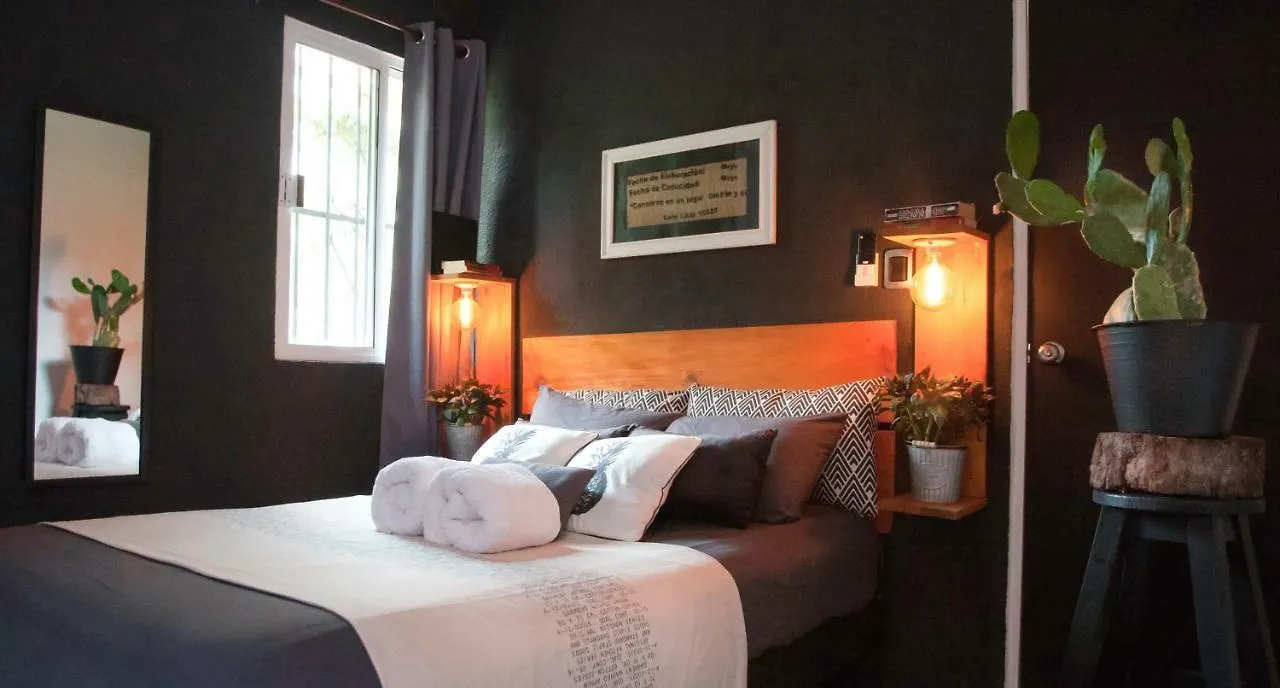 Vila Cactus House Playa del Carmen Prázdninový dům