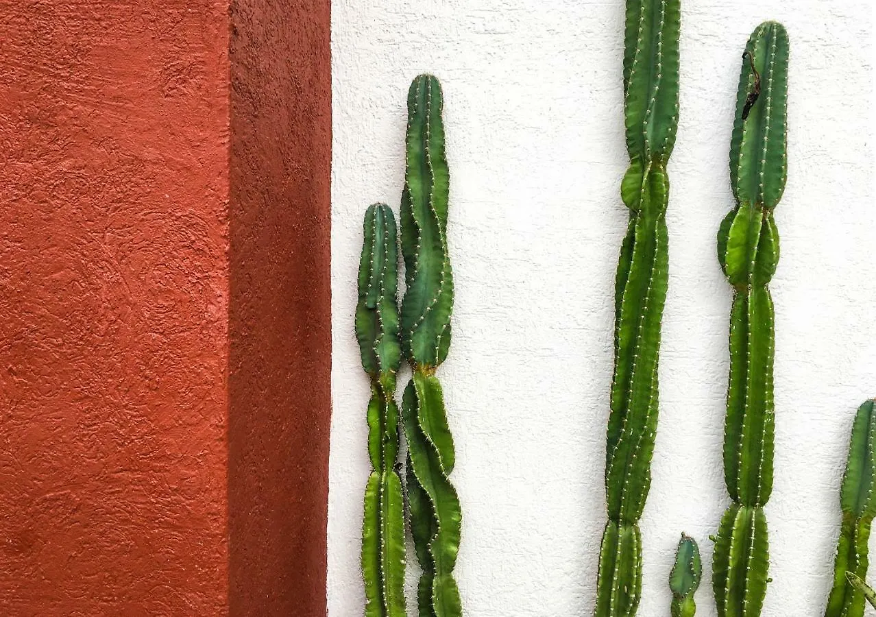 Vila Cactus House Playa del Carmen