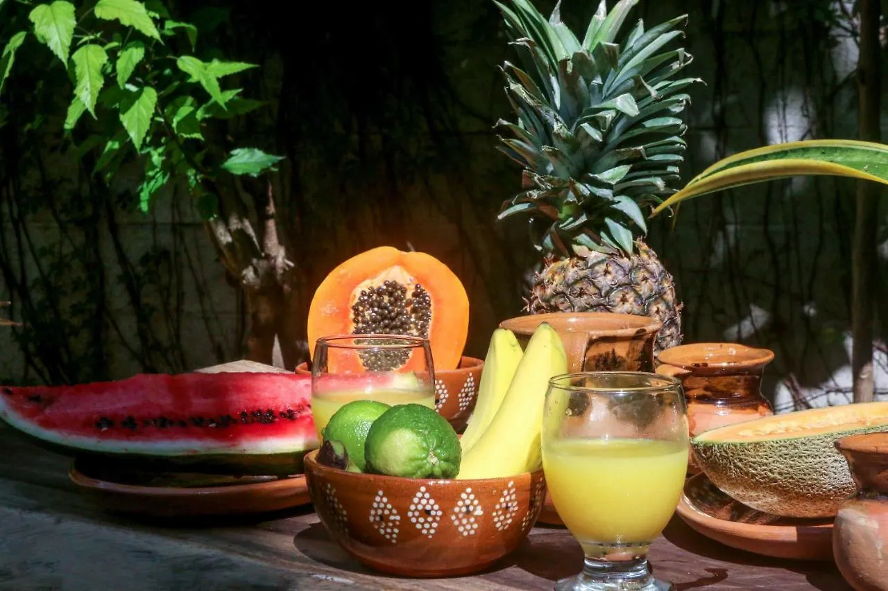 Vila Cactus House Playa del Carmen Mexiko
