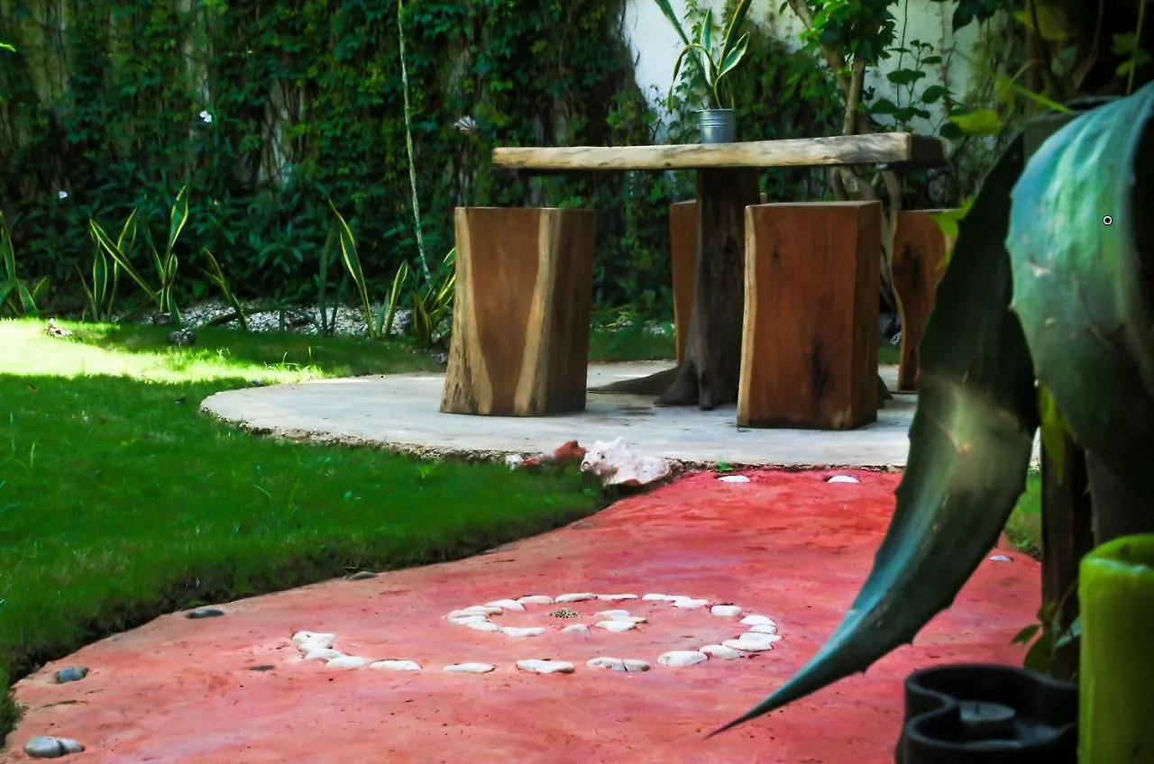 Vila Cactus House Playa del Carmen Prázdninový dům